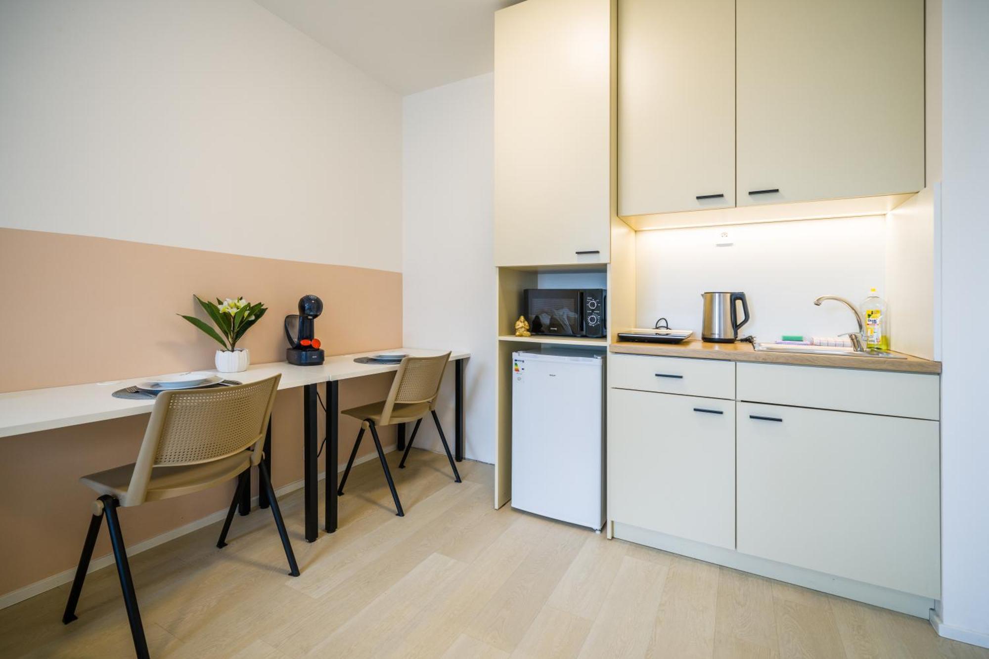 Street Apartments Brno Center Zewnętrze zdjęcie
