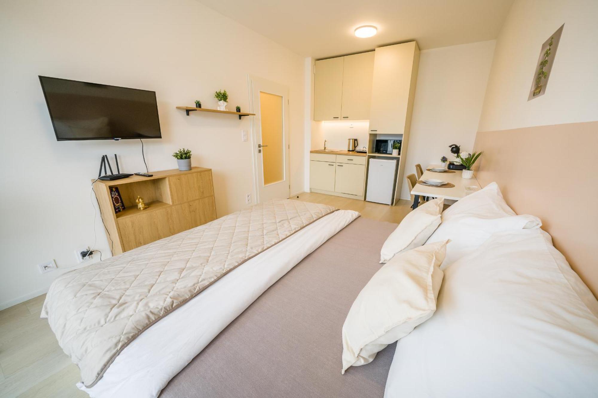 Street Apartments Brno Center Zewnętrze zdjęcie